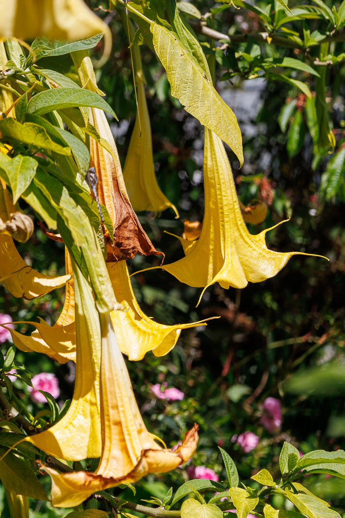 20230426-IMG_9076.jpg 20230426-IMG_9076.jpg