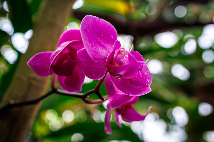 20230426-IMG_9079.jpg 20230426-IMG_9079.jpg