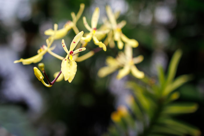 20230426-IMG_9083.jpg 20230426-IMG_9083.jpg