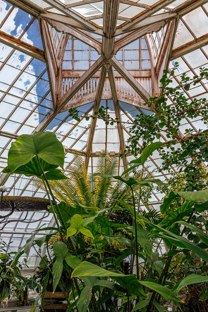 20230426-IMG_9084.jpg 20230426-IMG_9084.jpg