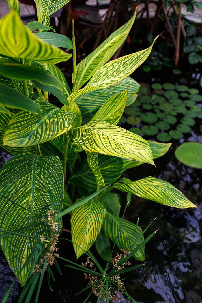 20230426-IMG_9090.jpg 20230426-IMG_9090.jpg