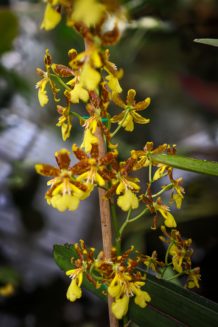 20230426-IMG_9095-Edit.jpg 20230426-IMG_9095-Edit.jpg