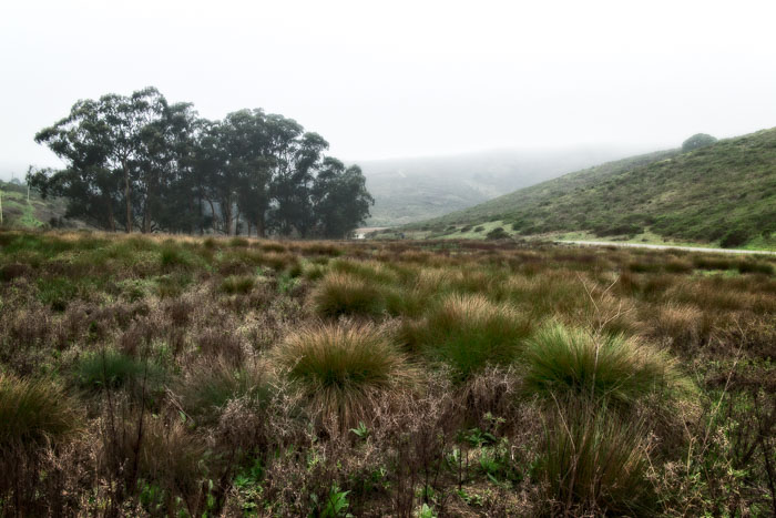 20150220-IMG_0018.jpg 20150220-IMG_0018.jpg