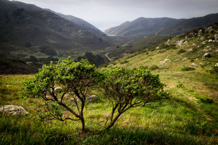 20150220-IMG_0019.jpg 20150220-IMG_0019.jpg