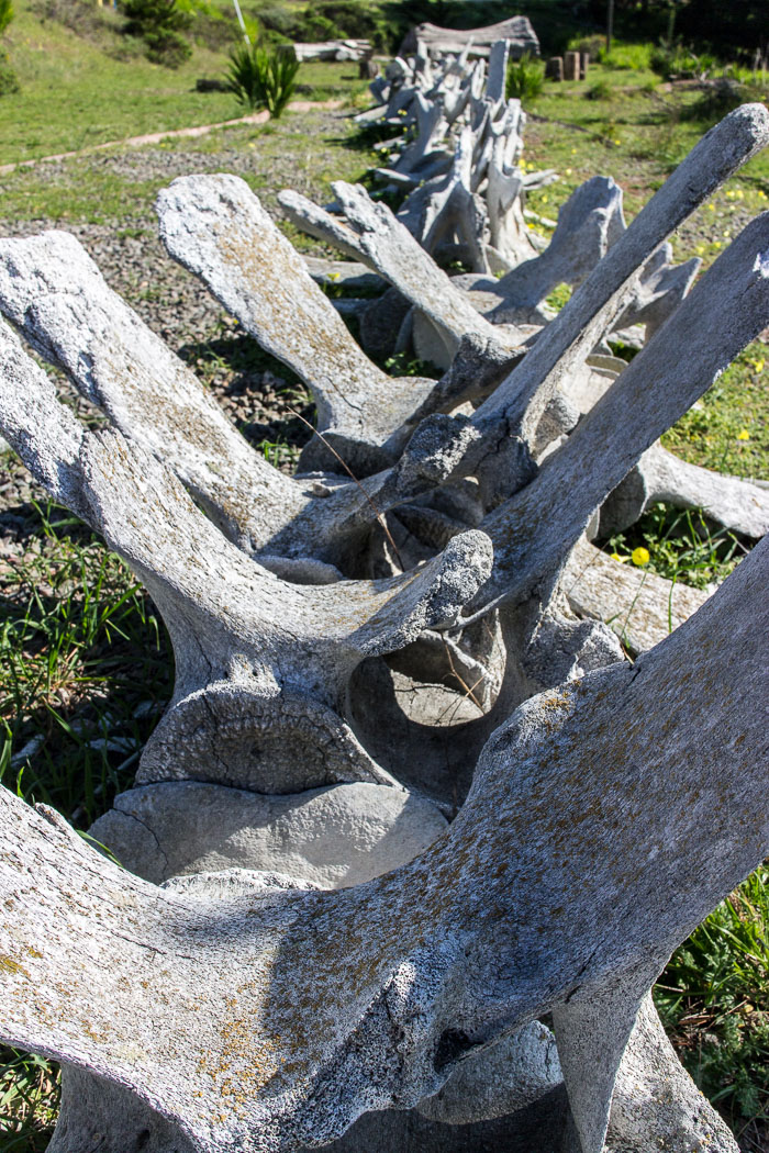 20150220-IMG_0025.jpg 20150220-IMG_0025.jpg