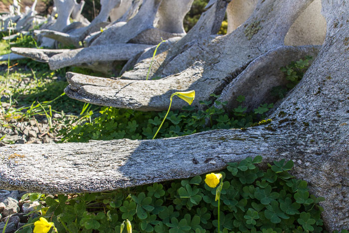 20150220-IMG_0028.jpg 20150220-IMG_0028.jpg