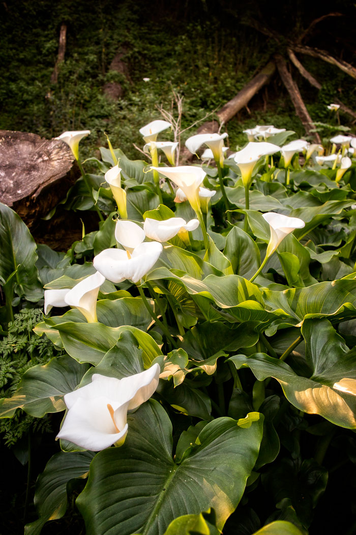 20150220-IMG_0180-2.jpg 20150220-IMG_0180-2.jpg