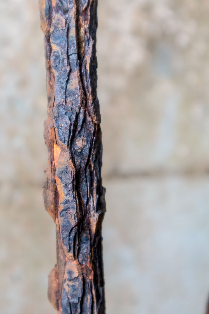 20170407-IMG_8490.jpg 20170407-IMG_8490.jpg