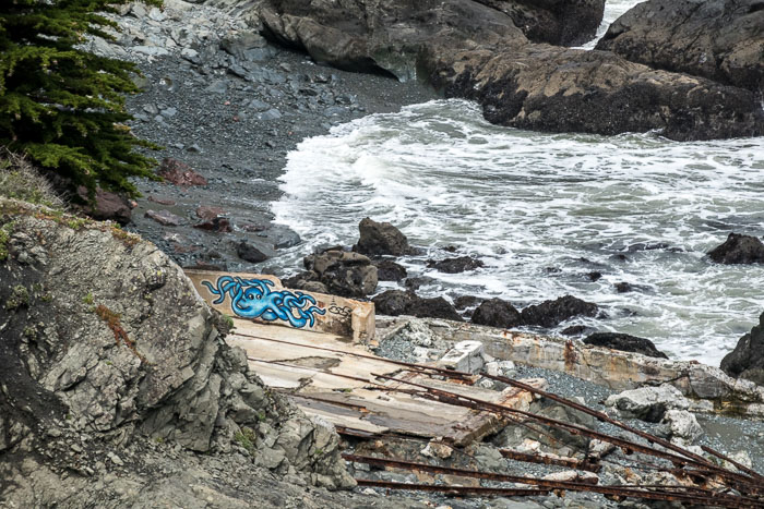 20170407-IMG_8509.jpg 20170407-IMG_8509.jpg