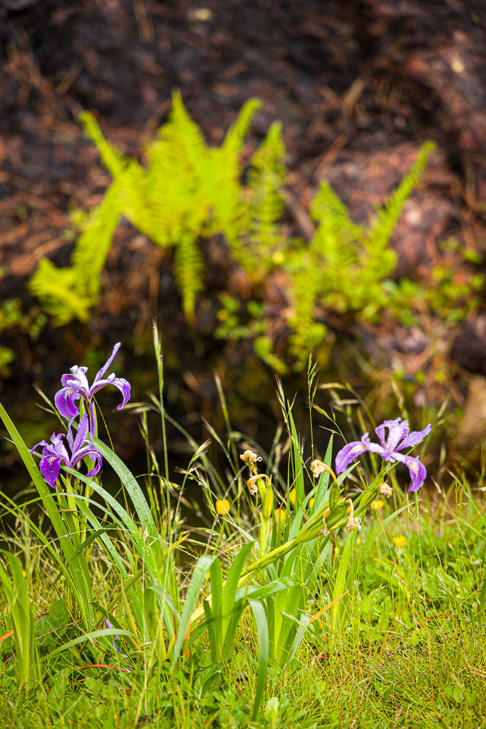 20230428-_MG_7592.jpg 20230428-_MG_7592.jpg