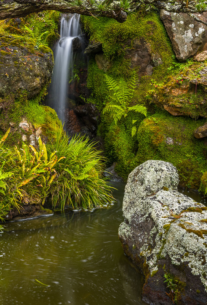 20230428-_MG_7598-Edit.jpg 20230428-_MG_7598-Edit.jpg