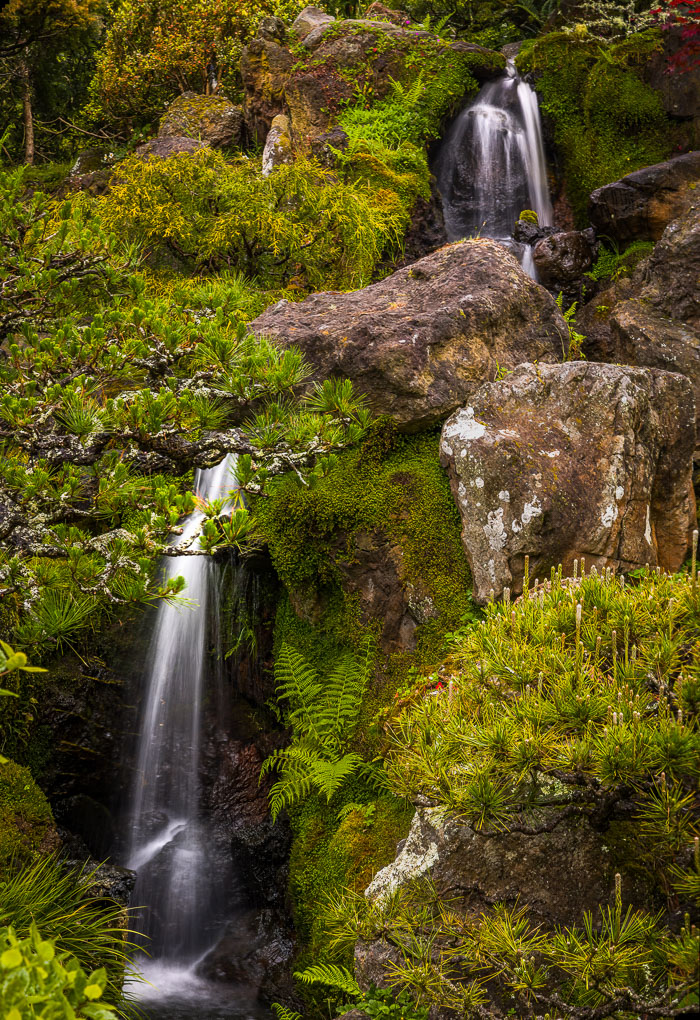 20230428-_MG_7610-Edit.jpg 20230428-_MG_7610-Edit.jpg