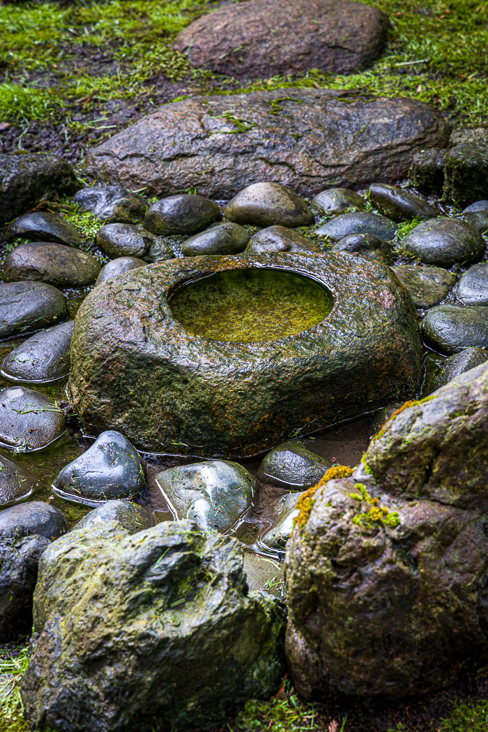 20230428-_MG_7670.jpg 20230428-_MG_7670.jpg