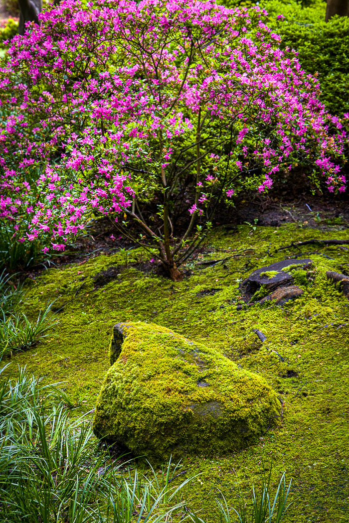 20230428-_MG_7674.jpg 20230428-_MG_7674.jpg