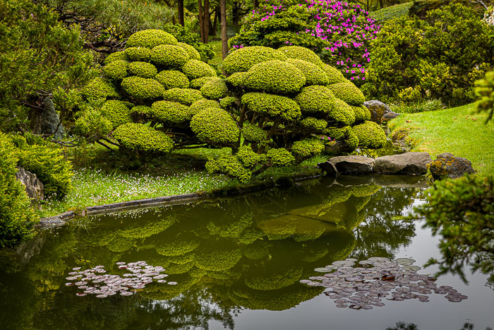 20230428-_MG_7680.jpg 20230428-_MG_7680.jpg