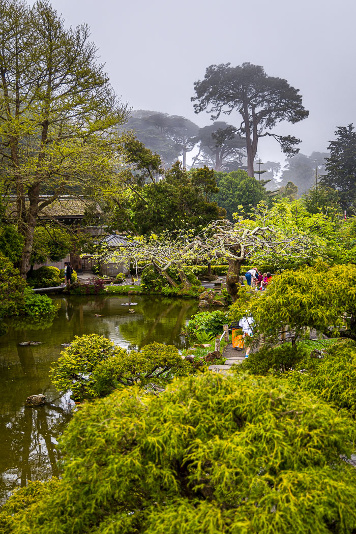 20230428-_MG_7702-HDR.jpg 20230428-_MG_7702-HDR.jpg