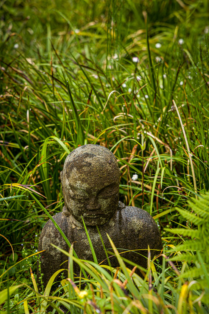 20230428-_MG_7714.jpg 20230428-_MG_7714.jpg