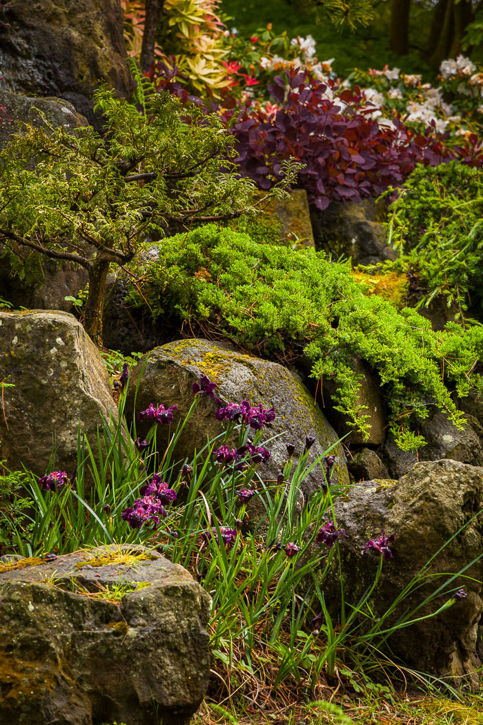 20230428-_MG_7740.jpg 20230428-_MG_7740.jpg