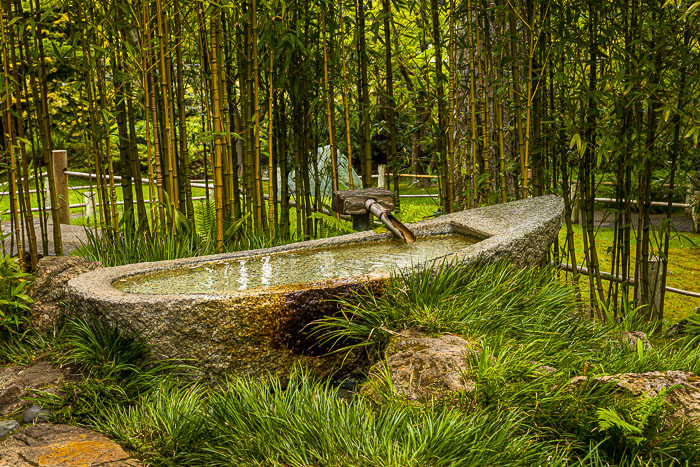 20230428-_MG_7743.jpg 20230428-_MG_7743.jpg