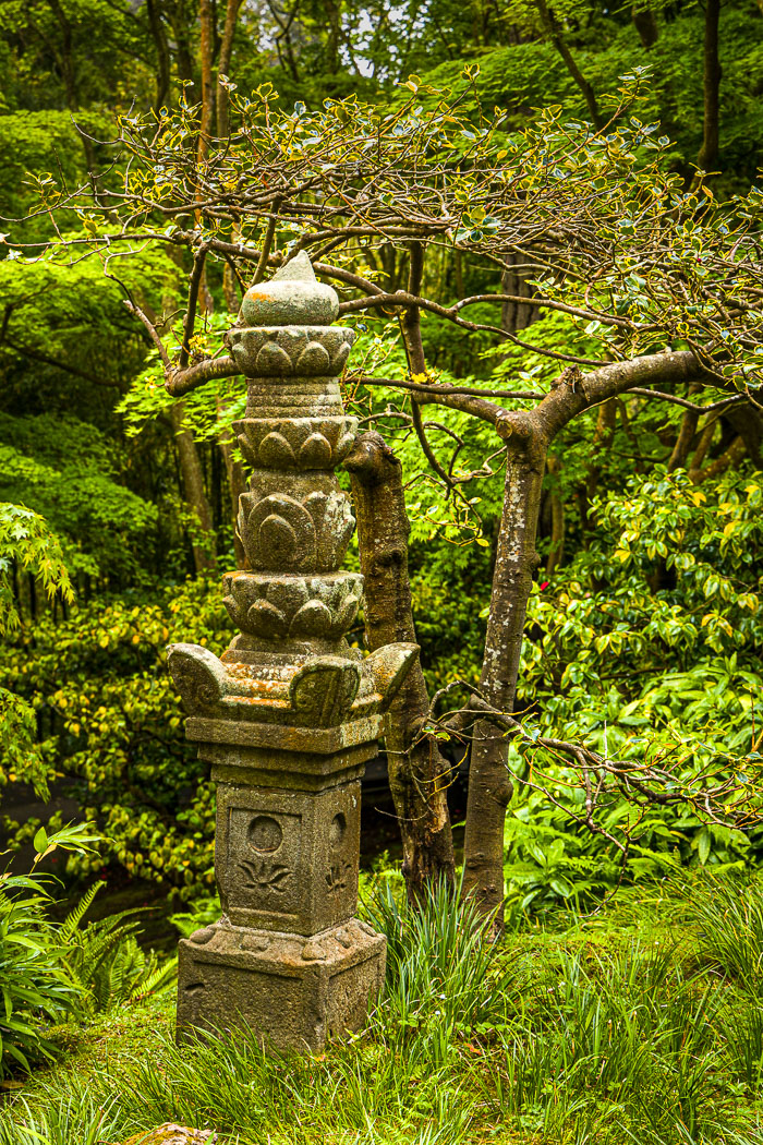 20230428-_MG_7745.jpg 20230428-_MG_7745.jpg