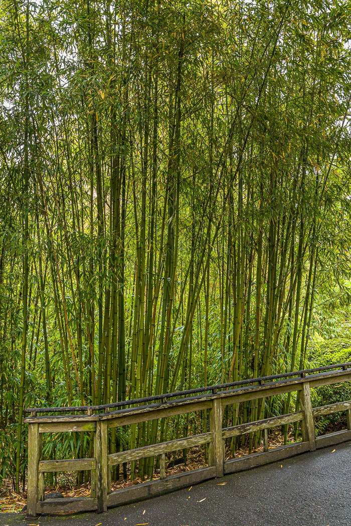 20230428-_MG_7747.jpg 20230428-_MG_7747.jpg