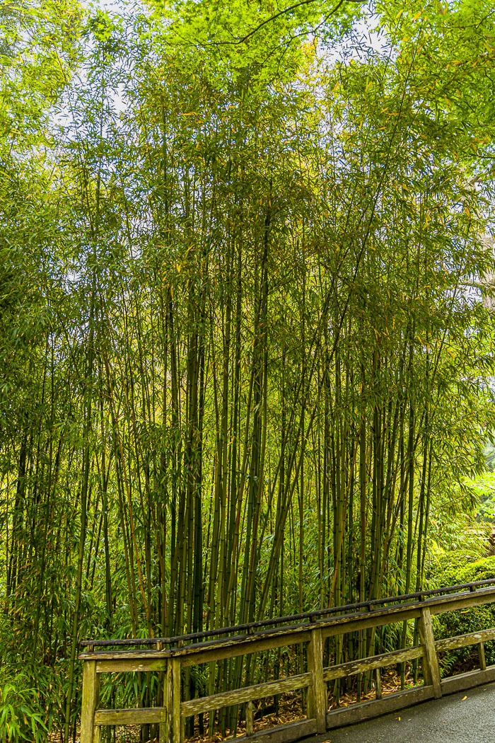 20230428-_MG_7748-HDR.jpg 20230428-_MG_7748-HDR.jpg