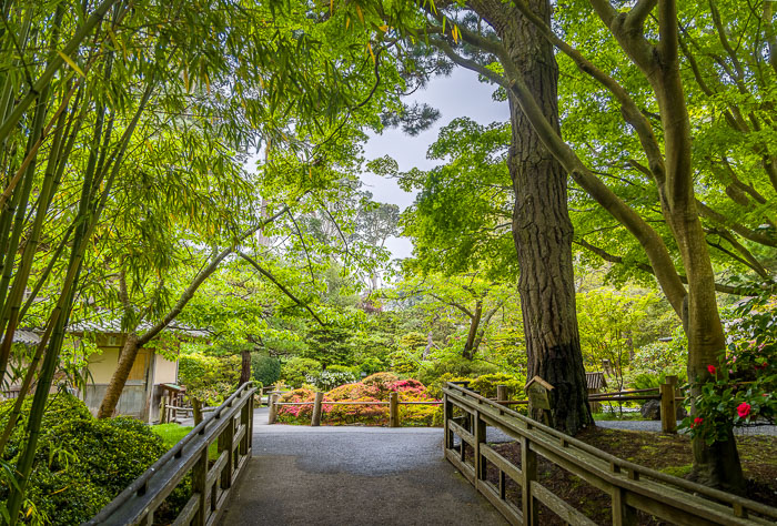 20230428-_MG_7751-HDR-Edit.jpg 20230428-_MG_7751-HDR-Edit.jpg