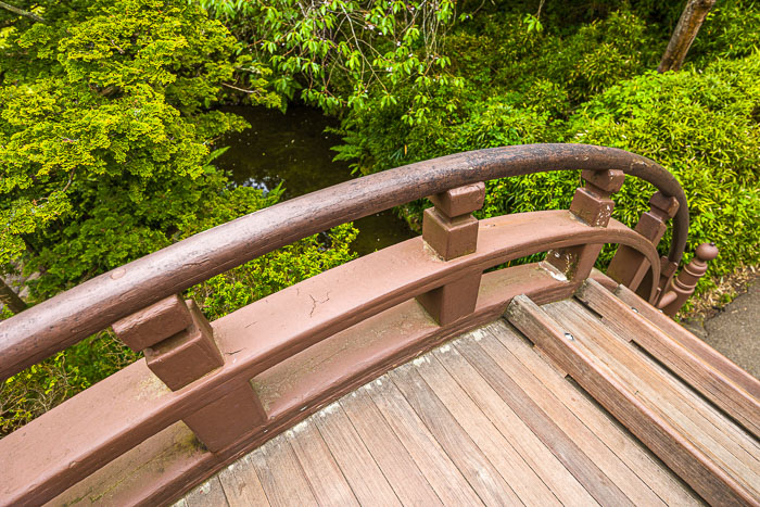 20230428-_MG_7806.jpg 20230428-_MG_7806.jpg