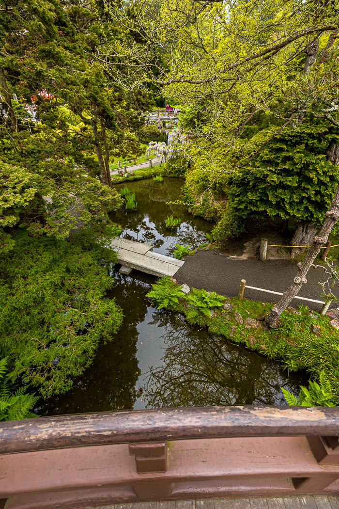 20230428-_MG_7809-HDR.jpg 20230428-_MG_7809-HDR.jpg