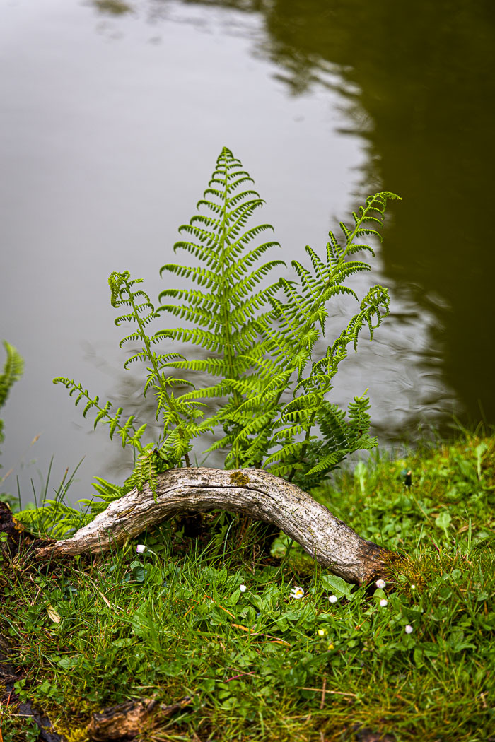 20230428-_MG_7824.jpg 20230428-_MG_7824.jpg