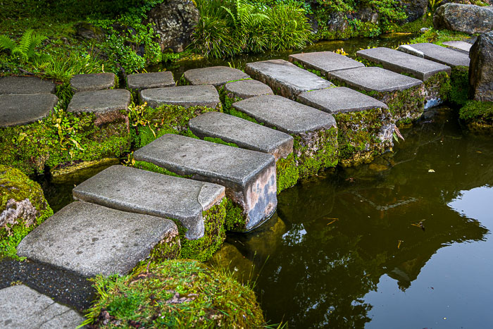 20230428-_MG_7828.jpg 20230428-_MG_7828.jpg