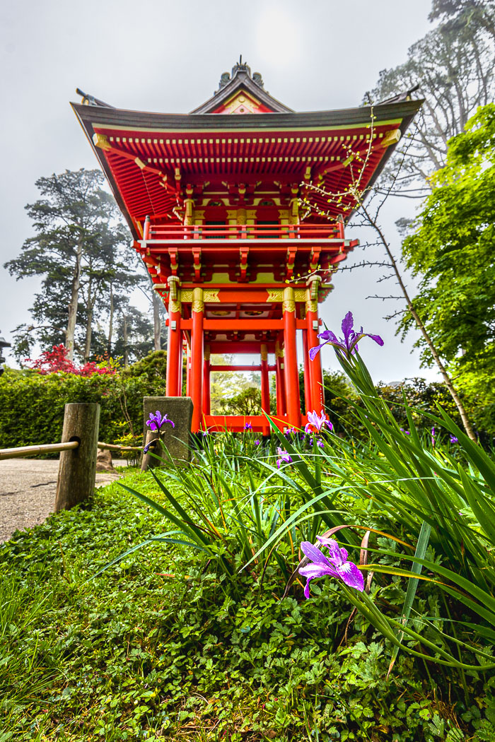 20230428-_MG_7877.jpg 20230428-_MG_7877.jpg