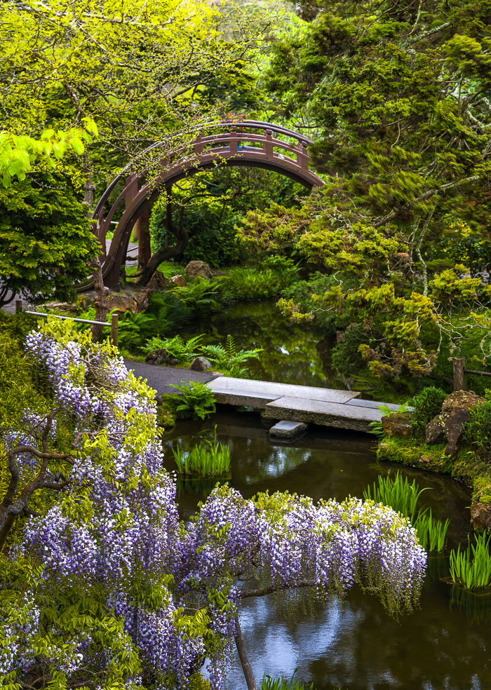 20230428-_MG_7889-Edit.jpg 20230428-_MG_7889-Edit.jpg