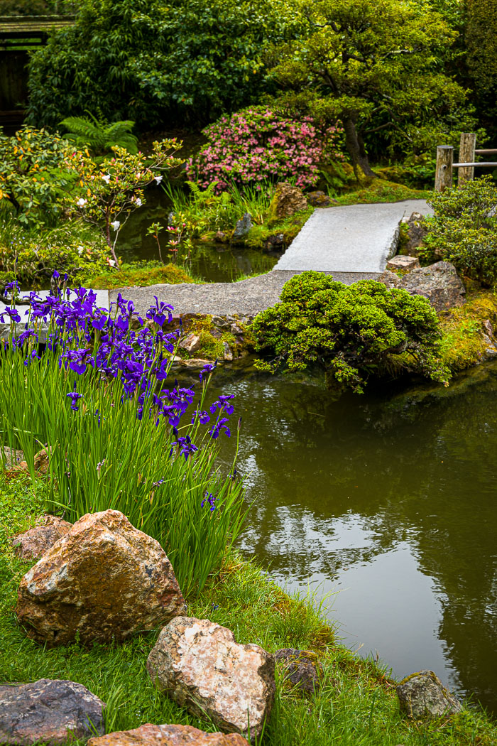 20230428-_MG_7900.jpg 20230428-_MG_7900.jpg