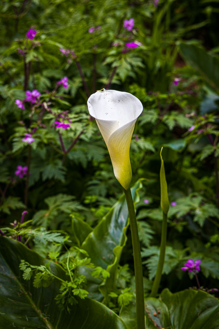 20230428-_MG_7910.jpg 20230428-_MG_7910.jpg