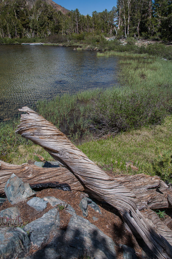 Virginia Lakes