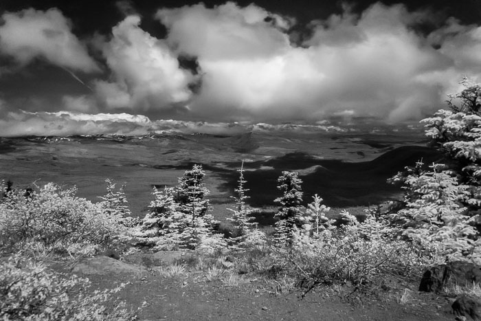 Black Butte Summit hike