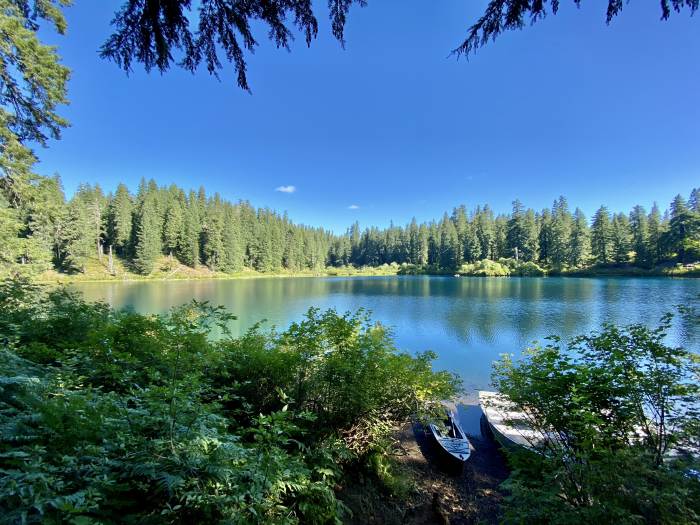 Mckenzie River Valley