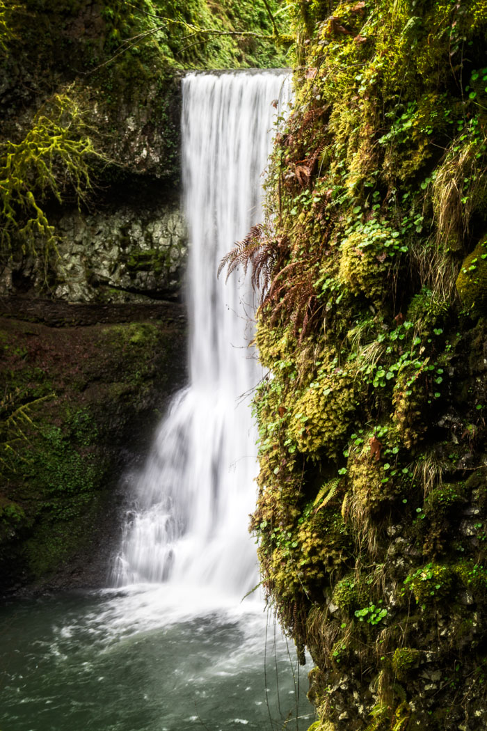 Silver Falls State Park