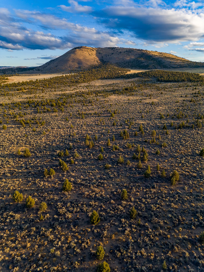 20221029-DJI_0002-HDR.jpg