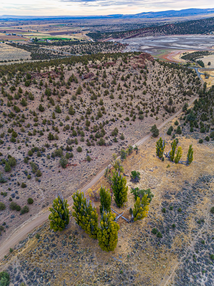 20221030-DJI_0396-HDR.jpg