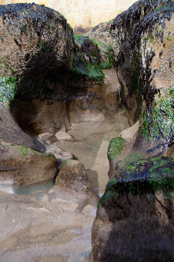 Cape Kiwanda