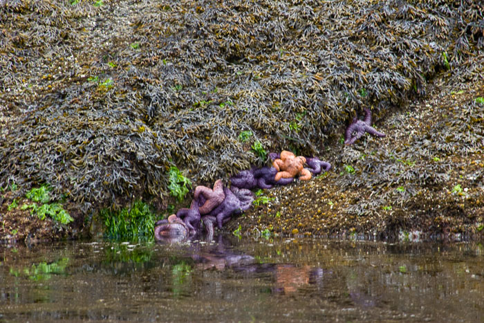 Chuckanut Bay