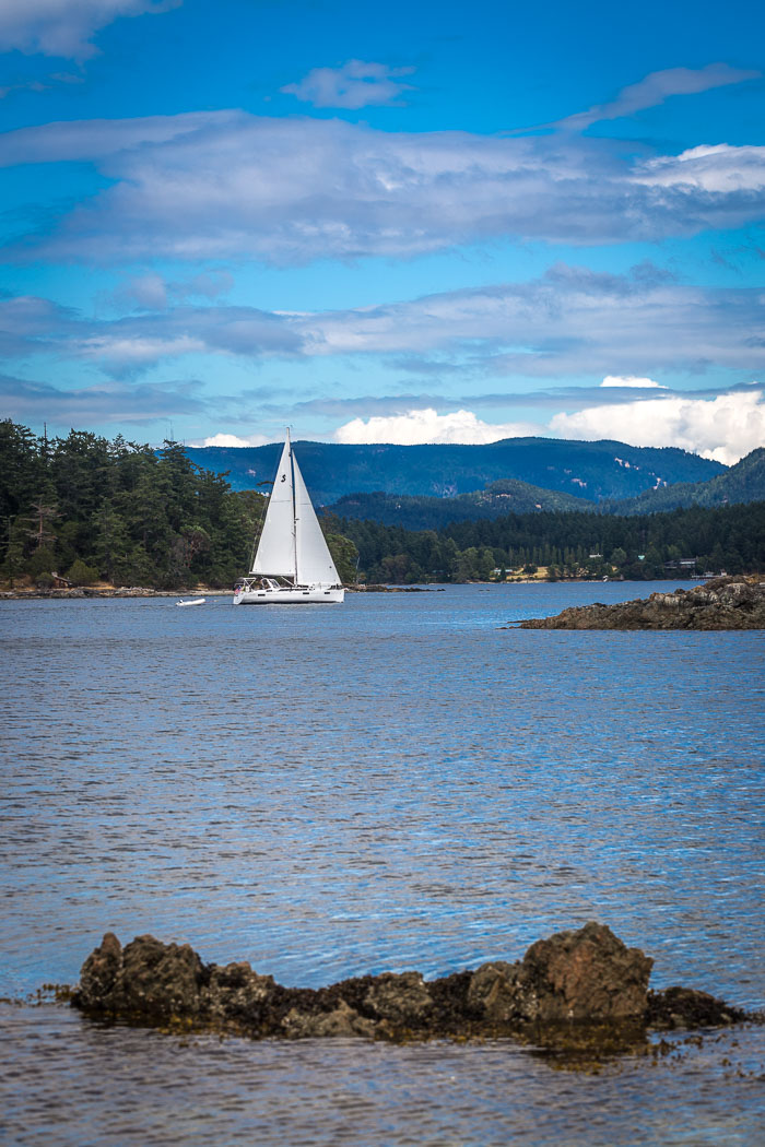 20170720-IMG_5253.jpg 20170720-IMG_5253.jpg