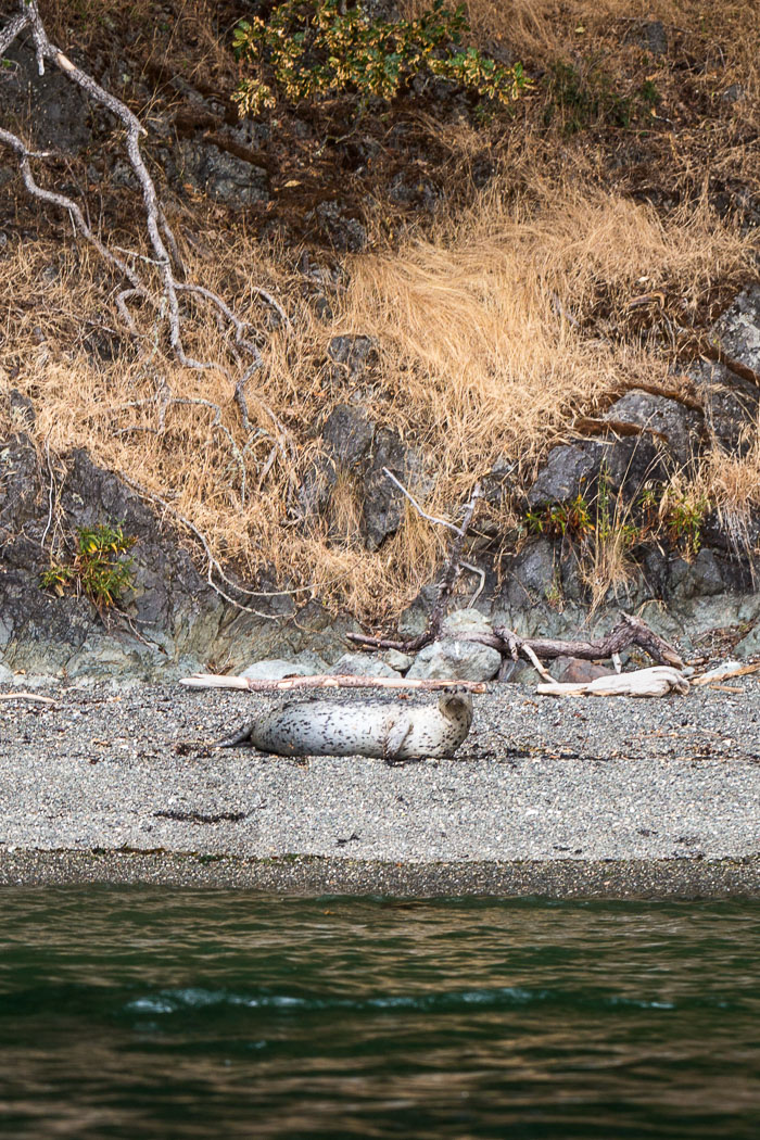 20170720-IMG_5265.jpg 20170720-IMG_5265.jpg