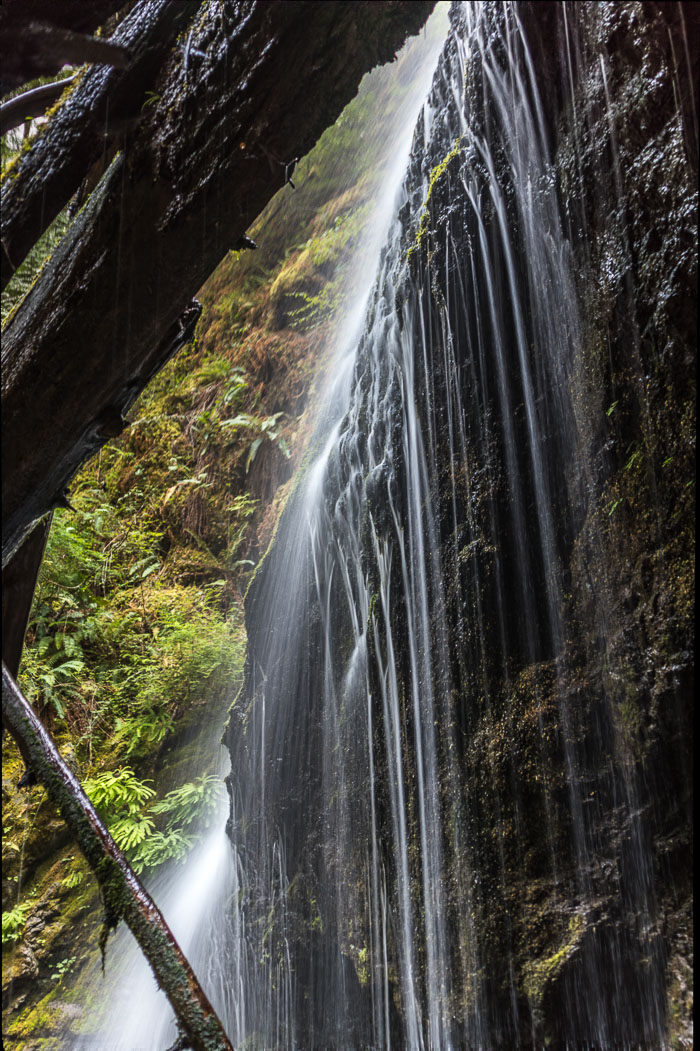 20170721-IMG_1095-Edit.jpg 20170721-IMG_1095-Edit.jpg