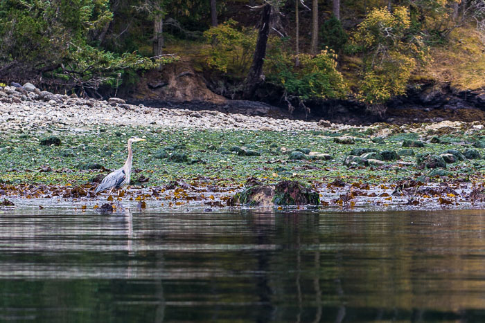 20170722-IMG_5287.jpg 20170722-IMG_5287.jpg