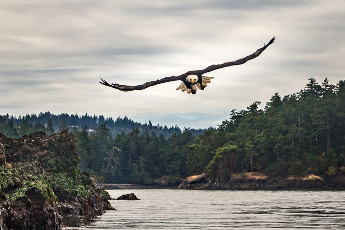 20170722-IMG_5342.jpg 20170722-IMG_5342.jpg