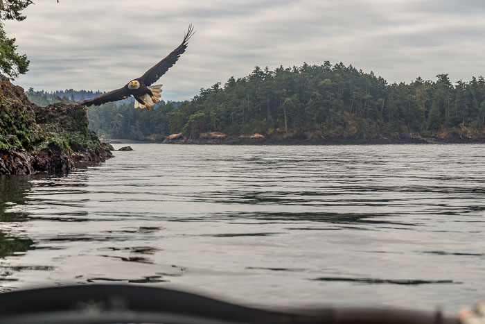 20170722-IMG_5344.jpg 20170722-IMG_5344.jpg