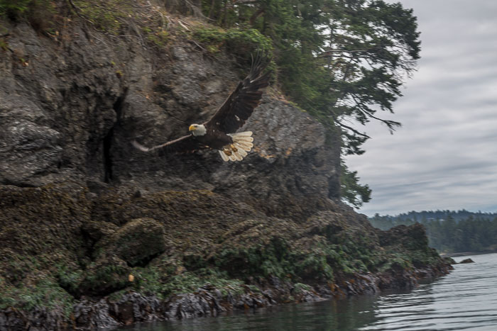 20170722-IMG_5346.jpg 20170722-IMG_5346.jpg